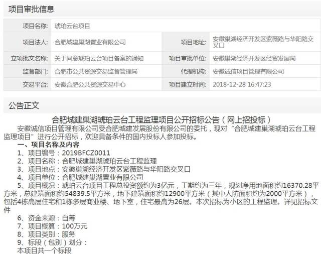 巢湖琥珀探寻揭秘，神秘瑰宝的最新动态更新