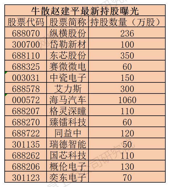 赵建平最新持仓策略深度解析