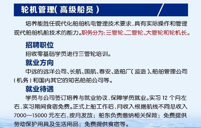 最新乙一水手长招聘启事，航海精英诚邀加盟