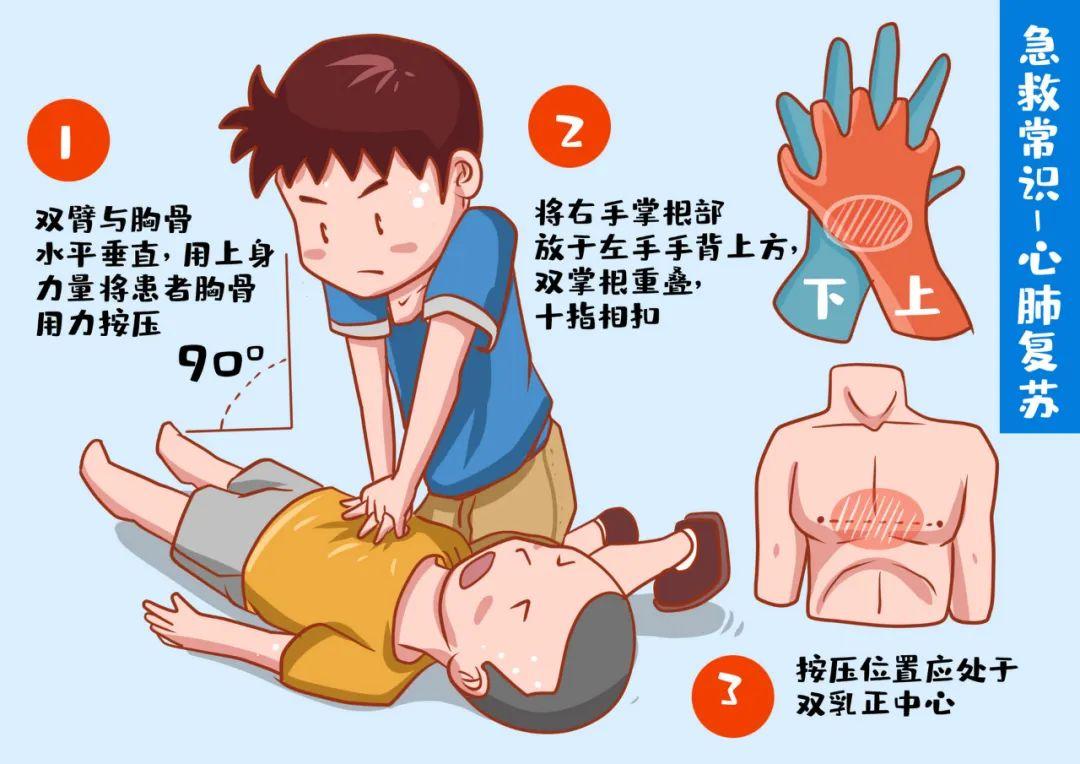 心肺复苏最新指南，拯救生命的操作手册全面解析