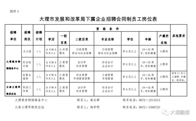 大理招聘网最新招聘动态深度解析与解读