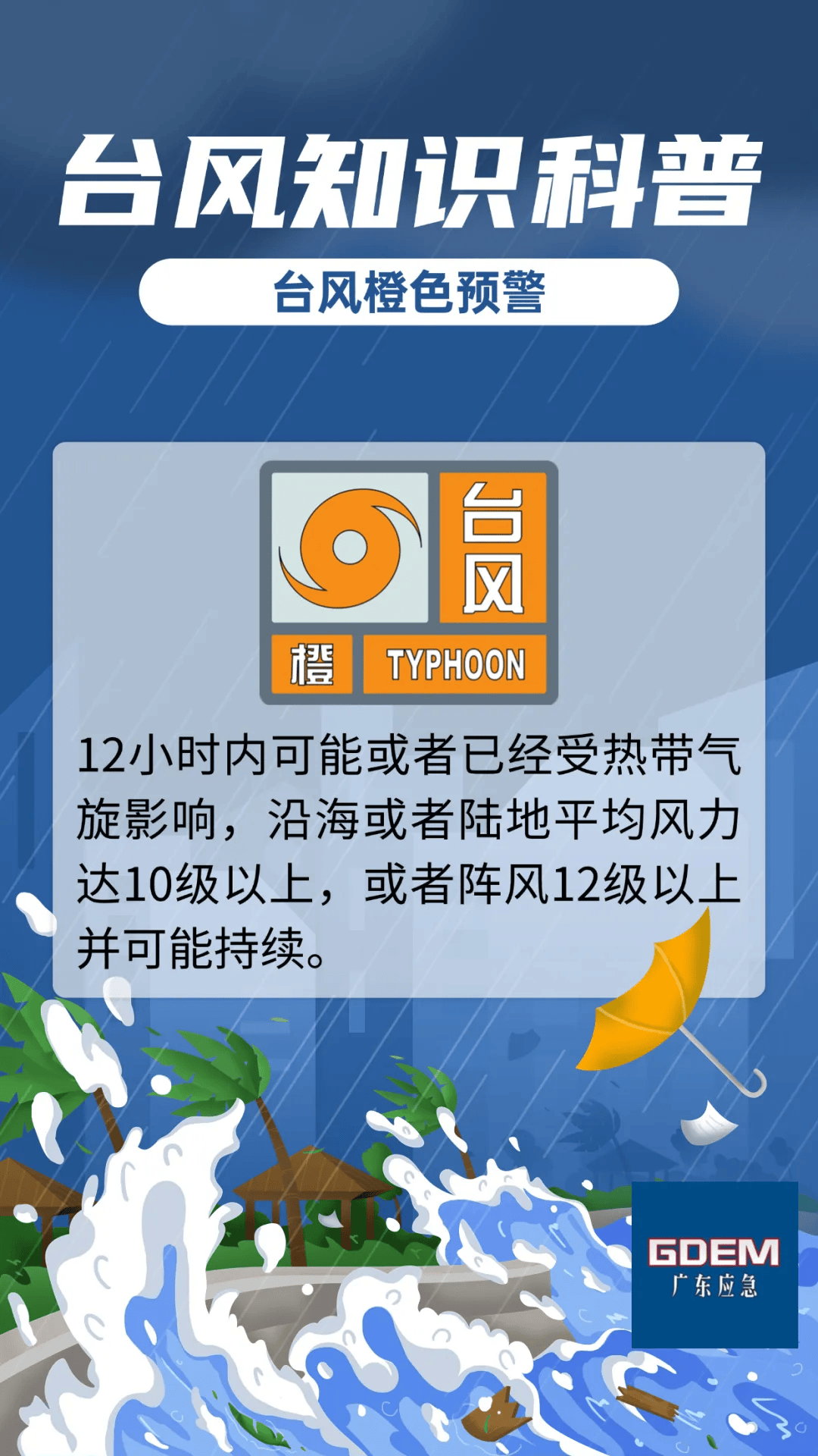 四号台风深度分析，最新动态与影响解读