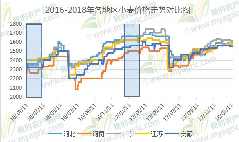 今日小麦价格走势分析，市场趋势与预测报告