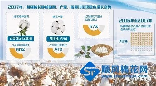 全球棉花市场趋势分析与最新消息概述