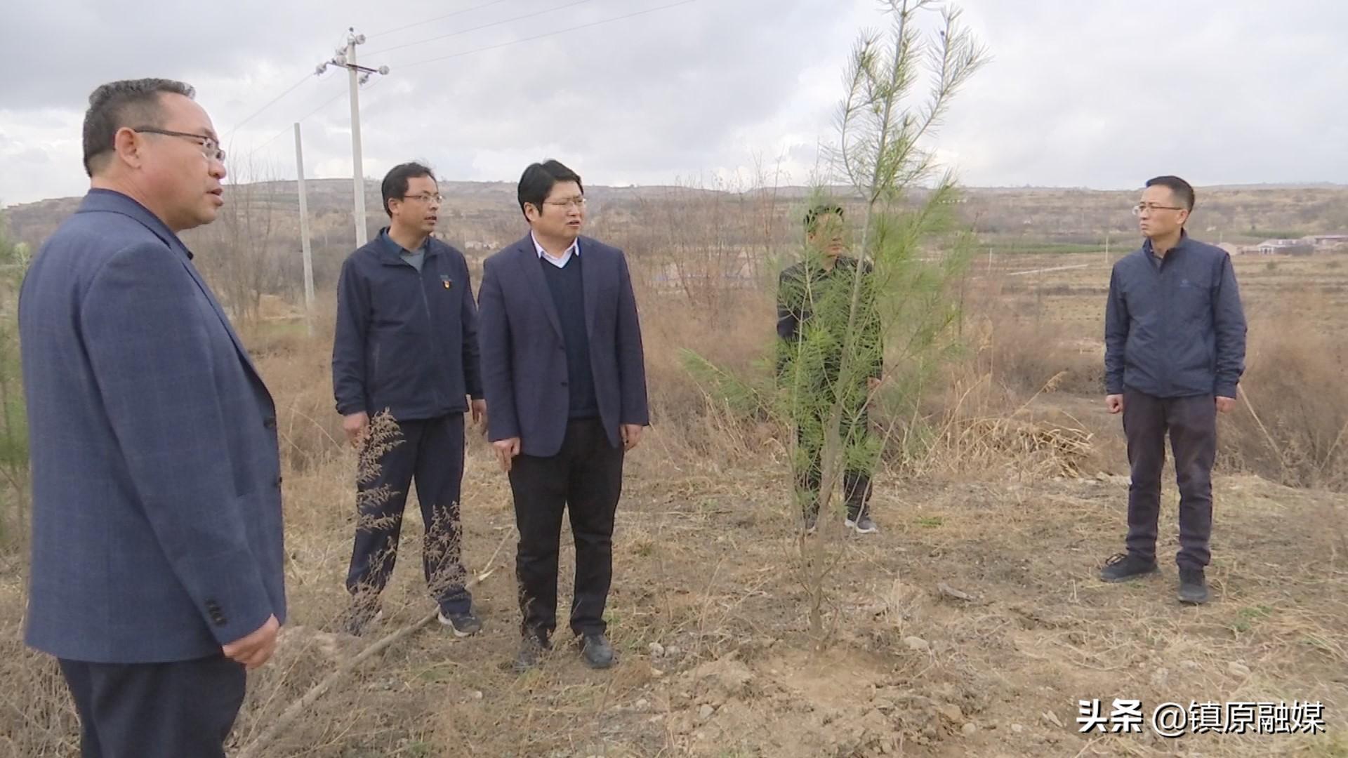 镇原县住房和城乡建设局最新发展规划概览