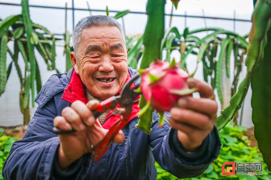 朝天区自然资源和规划局最新发展规划概览