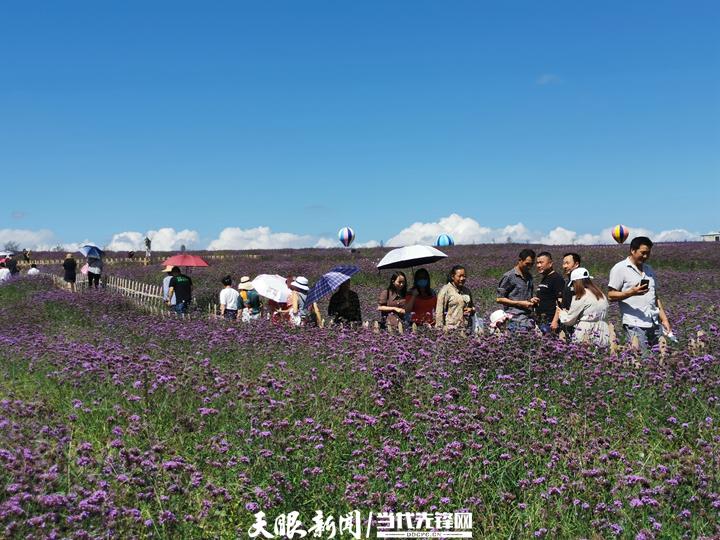 铜仁市图书馆未来发展规划蓝图揭晓，迈向知识海洋的新征程