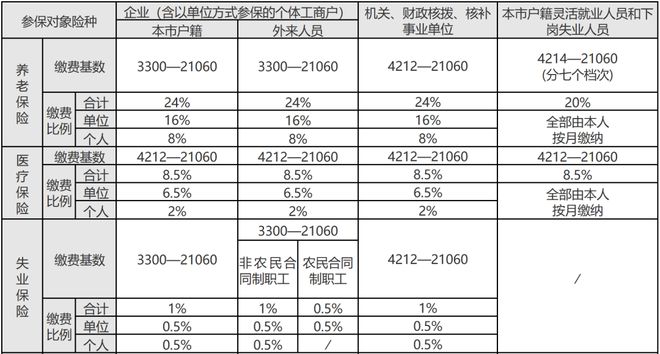 最新标准引领社会变革与发展趋势