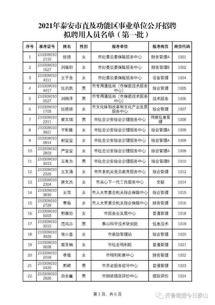 泰安招聘最新动态与人才市场分析概览