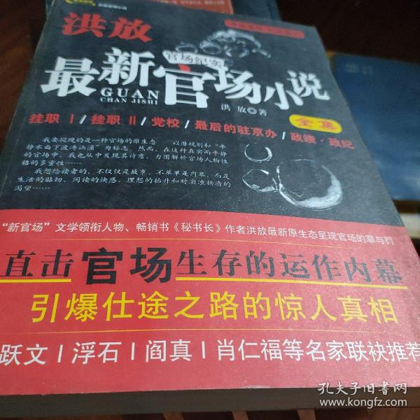 权力背后的复杂纠葛，最新官场小说揭示真相