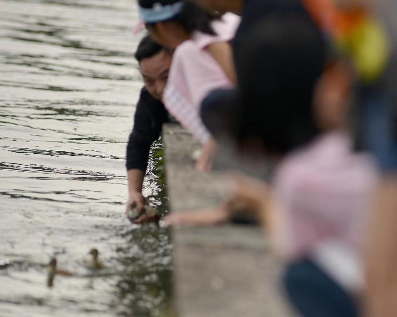 西湖区人力资源和社会保障局最新招聘信息概览，职位空缺与任职要求全解析