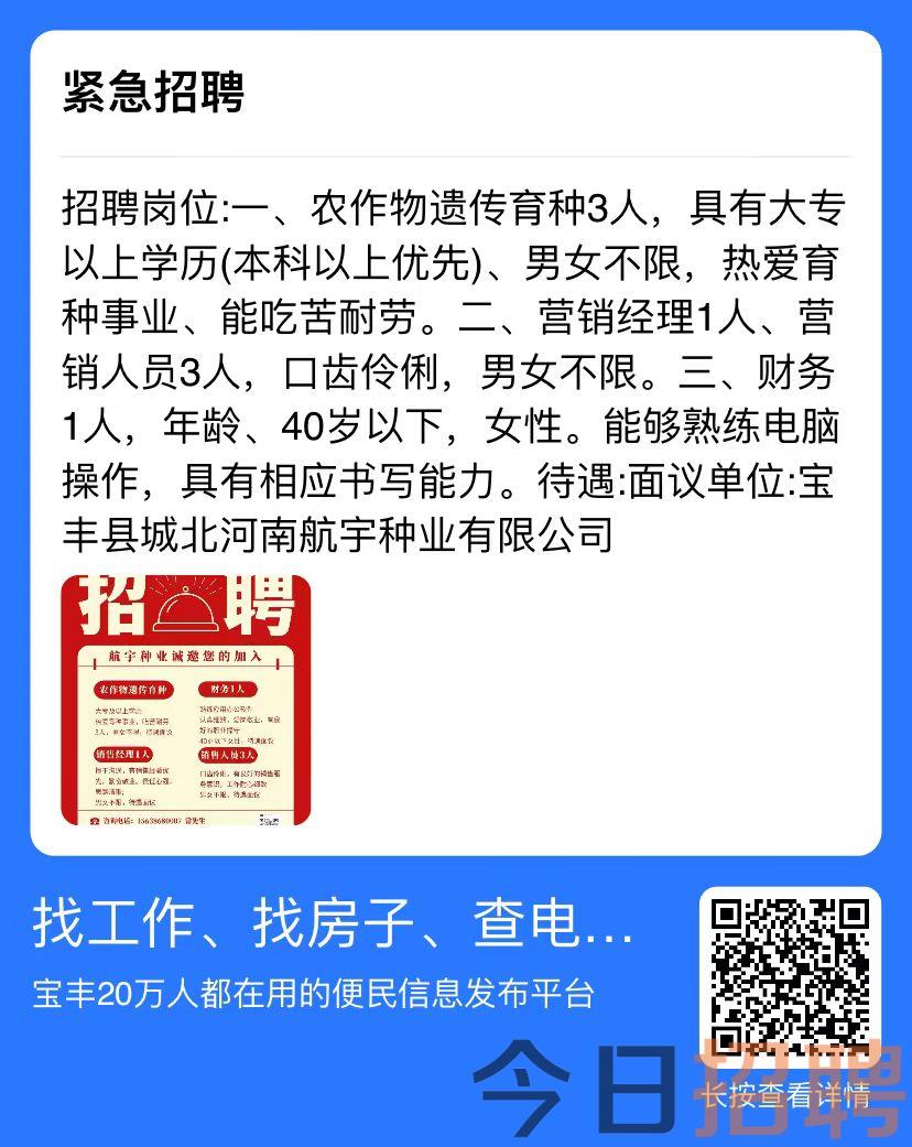 峰峰招聘网最新招聘动态，职场风向标实时更新