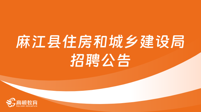 茂南区住房和城乡建设局最新招聘信息详解