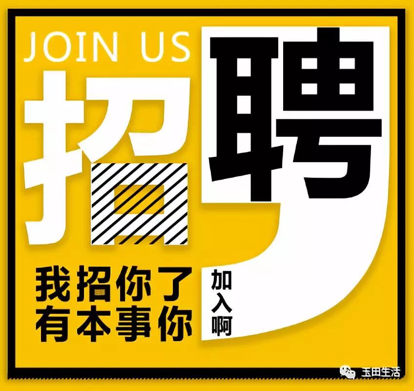 玉田生活招聘动态与信息解析速递