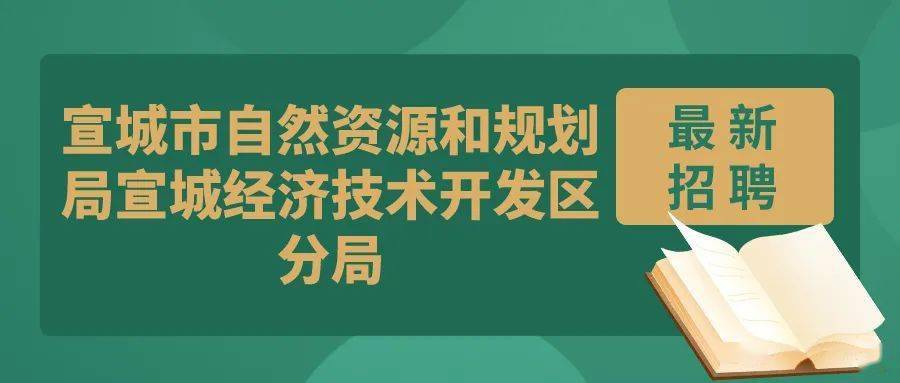 江川县自然资源和规划局最新招聘公告概览