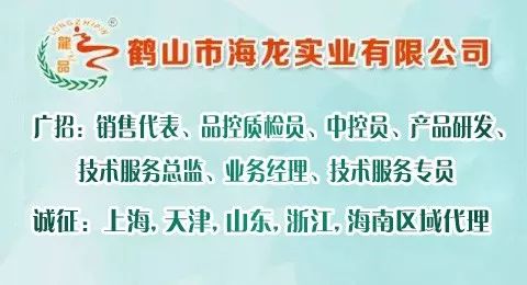 鹤山市水利局最新招聘公告概览