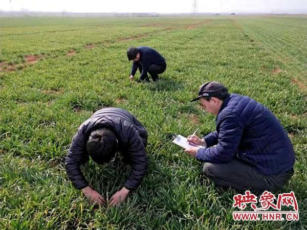 渑池县住房和城乡建设局最新新闻