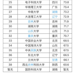 最新985大学排名深度解析