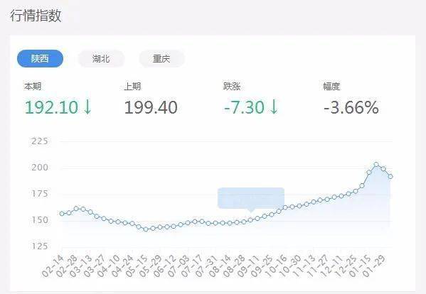 最新煤价走势分析与未来展望